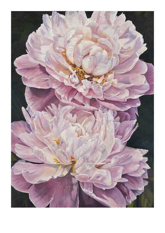 Peonies In Bloom Fine Art Print by Australian artist Nicole Reed